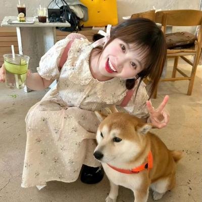 边塞丽春花